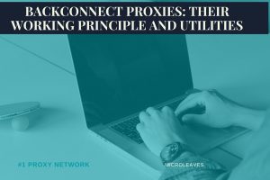 Backconnect Proxies: Their working principle and Utilities