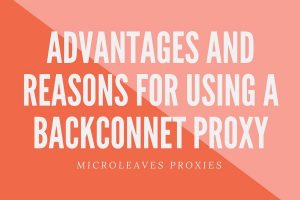Advantages and Reasons for using a Backconnet Proxy