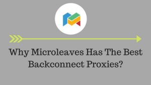 Why Microleaves Has The Best Backconnect Proxies?
