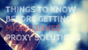 Things to Know Before Getting Microleaves Proxy Solutions