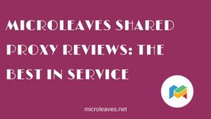 Microleaves Shared Proxy Reviews: The Best in Service