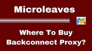 Where To Buy Backconnect Proxy?