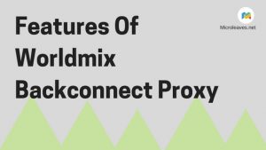 Features Of Worldmix Backconnect Proxy