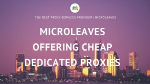 Microleaves Offering cheap dedicated proxies