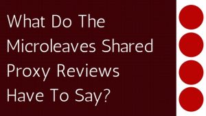 What Do The Microleaves Shared Proxy Reviews Have To Say?