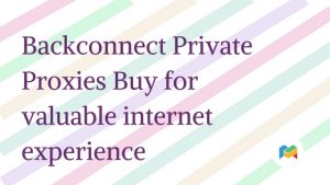 Backconnect Private Proxies Buy for valuable internet experience