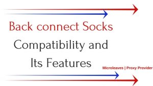 Backconnect Socks Compatibility and Its Features