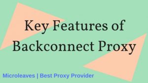Key Features of Backconnect Proxy