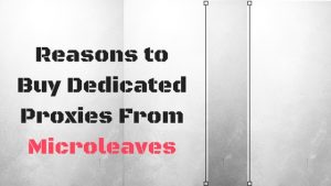 Reasons to Buy Dedicated Proxies From Microleaves