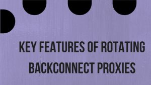 Key Features of Rotating Backconnect Proxies