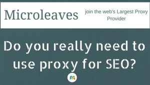 Do you Really Need to Use Proxy for SEO?