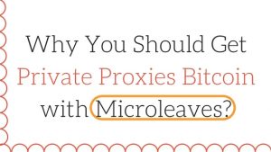 Why You Should Get Private Proxies Bitcoin with Microleaves?