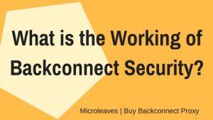 What is the Working of Backconnect Security?