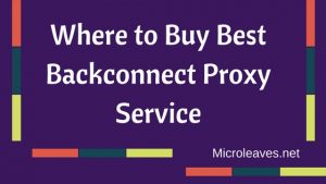 Where to Buy Best Backconnect Proxy Service