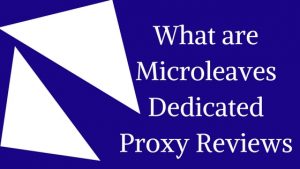 What are Microleaves Dedicated Proxy Reviews