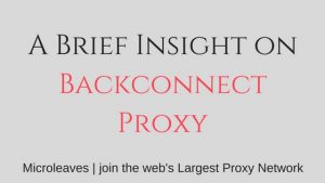 A Brief Insight on Backconnect Proxy