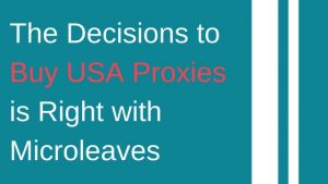 The Decisions to Buy USA Proxies is Right with Microleaves