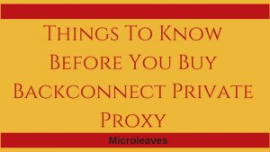 Things To Know Before You Buy Backconnect Private Proxy