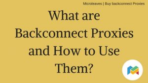 What are Backconnect Proxies and How to Use Them?