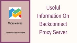 Useful Information On Backconnect Proxy Server