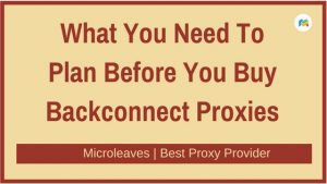 What You Need To Plan Before You Buy Backconnect Proxies