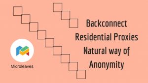 Backconnect Residential Proxies Natural way of Anonymity