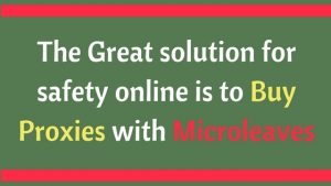 The great solution for safety online is to buy proxies with Microleaves