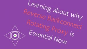 Learning about why Reverse Backconnect Rotating Proxy is Essential Now