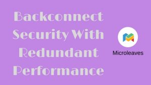 Backconnect Security With Redundant Performance
