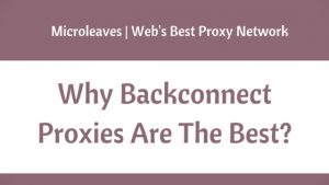 Why Backconnect Proxies Are The Best?