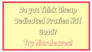 Do you Think Cheap Dedicated Proxies NOT Good? Try Microleaves!