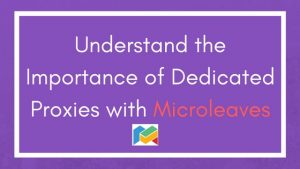 Understand the Importance of Dedicated Proxies with Microleaves