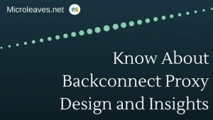 Know About Backconnect Proxy Design and Insights