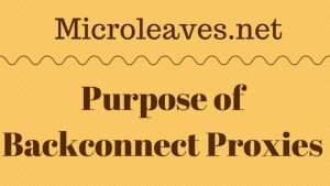 Purpose of Backconnect Proxies