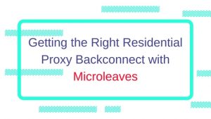 Getting the Right Residential Proxy Backconnect with Microleaves