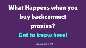 What Happens When you Buy Backconnect Proxies? Get to know here