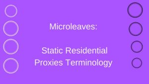 Microleaves: Static Residential Proxies Terminology