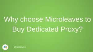 Why choose Microleaves to Buy Dedicated Proxy?