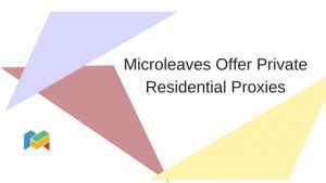 Microleaves Offer Private Residential Proxies