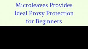 Microleaves Provides Ideal Proxy Protection for Beginners