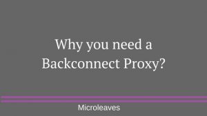 Why you need a Backconnect Proxy?
