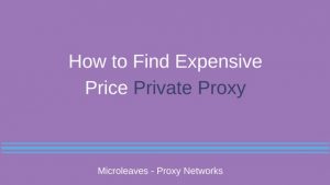 How to Find Expensive Price Private Proxy