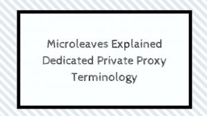 Microleaves Explained Dedicated Private Proxy Terminology